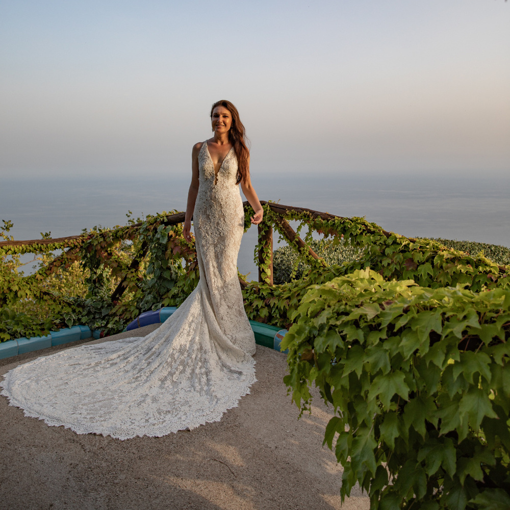 Pronovias Estela Wedding Dress with garment bag - Picture 6 of 8